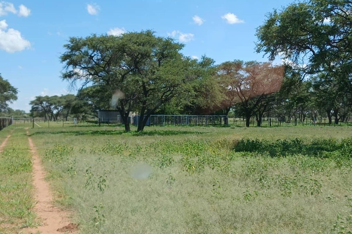 Beautiful Farm for sale in Namibia - Photo 3