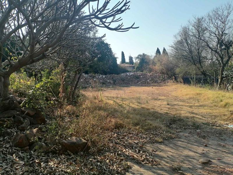A vacant residential plot featuring mature trees, a stone retaining wall, and a paved driveway area, requiring clearing and landscaping.