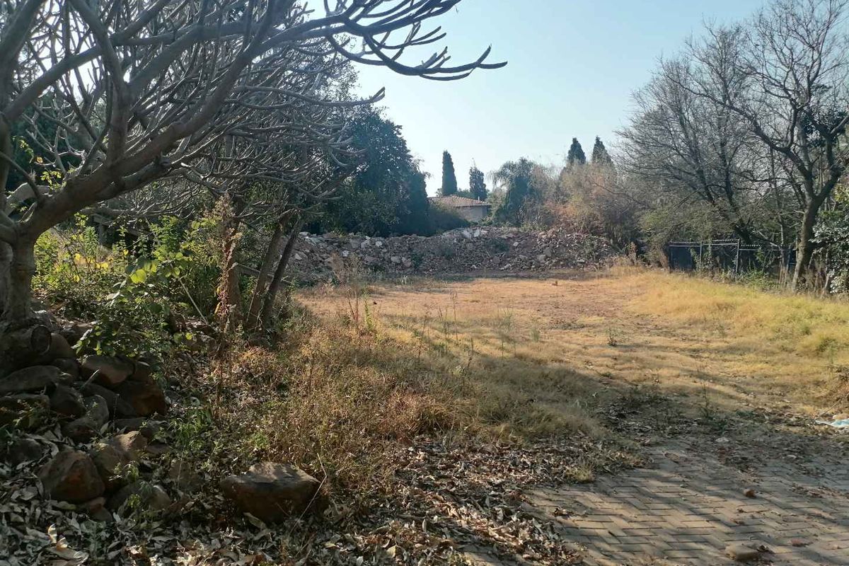 A vacant residential plot featuring mature trees, a stone retaining wall, and a paved driveway area, requiring clearing and landscaping.