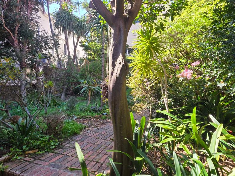 A lush, mature garden featuring a brick pathway winding through established trees and dense greenery.