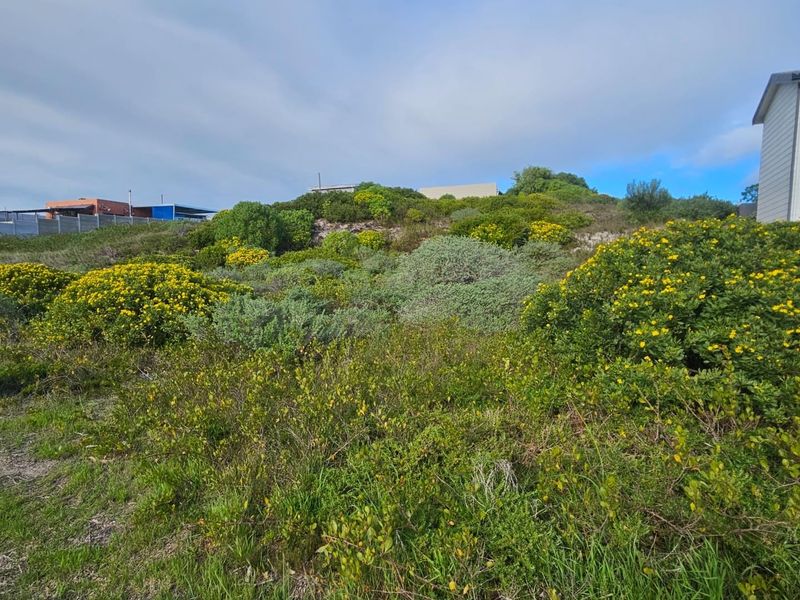 Close to Nature - Photo 2