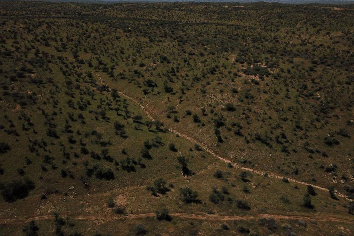 An aerial view of expansive, undeveloped residential land featuring natural vegetation and an unpaved access track.