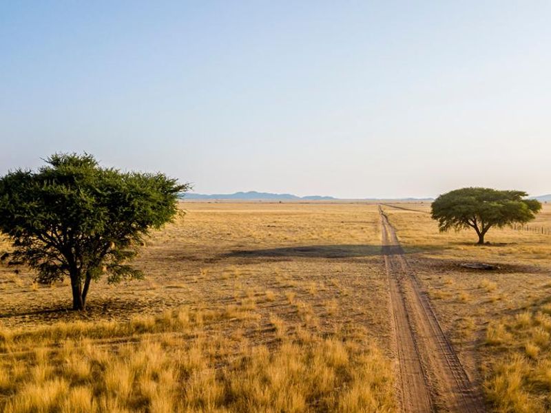 15 000 HA Premium Multi-Use Farmland - Photo 2