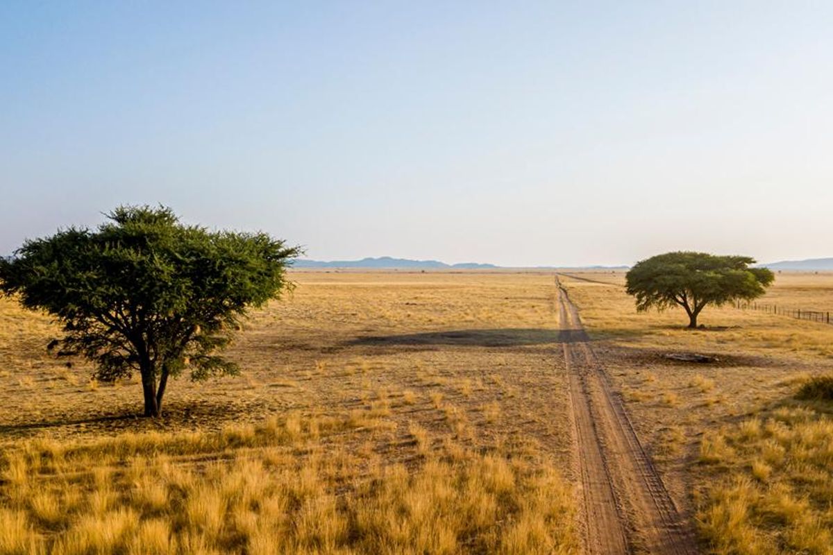 15 000 HA Premium Multi-Use Farmland - Photo 2
