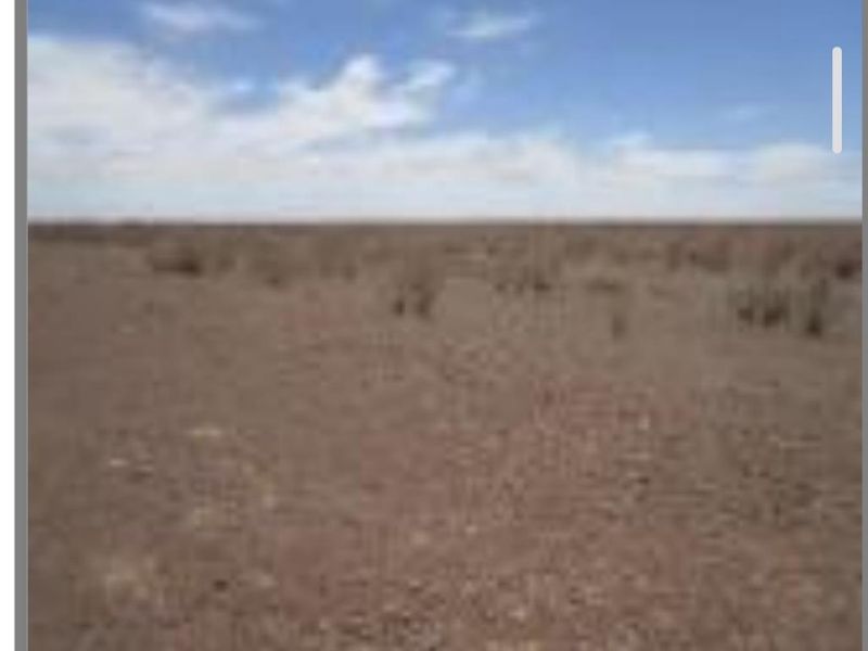 FARM FOR SALE - REMAINING FARM - HARDAP AREA - Photo 9