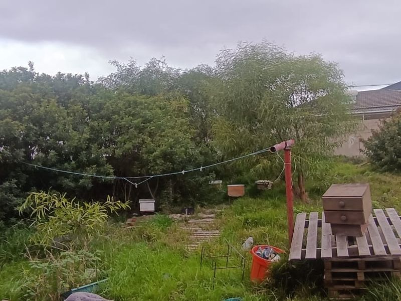 A large, overgrown garden area featuring mature trees and a boundary wall, requiring significant landscaping and maintenance to improve its overall condition.