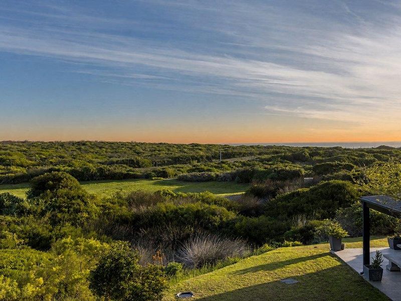 A scenic elevated view overlooking lush coastal vegetation and natural landscape, featuring a portion of a covered patio in the foreground.