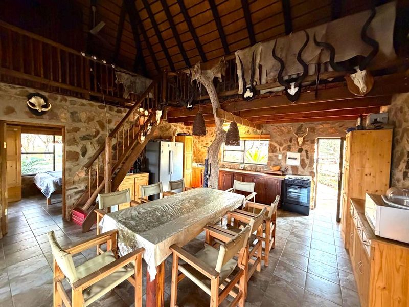 Exclusive to Century 21 Wildlife Properties, Private Residential Bush Home in Ndlovumzi Nature Reserve - Photo 6