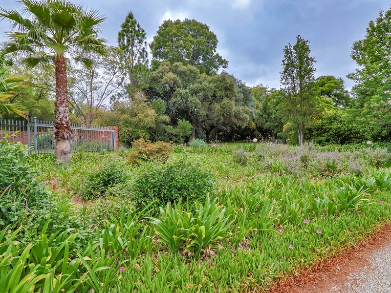 A lush, well-established garden featuring mature trees, diverse shrubbery, and a gravel pathway, enclosed by a secure metal fence and brick boundary wall.