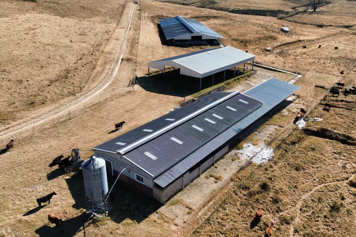 Aerial view of a farm property featuring multiple large agricultural sheds, a metal grain silo, and expansive grazing land.