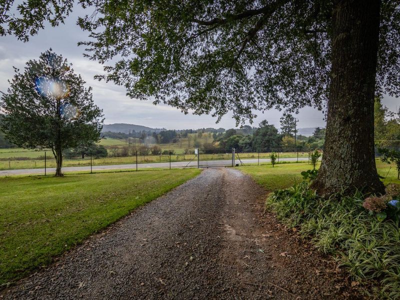 Boutique Country Living Meets Business Opportunity in the Heart of Balgowan - Photo 9