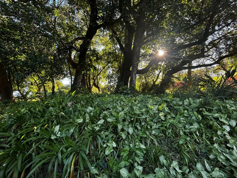 Countryside Living Meets Commercial Potential! - Photo 6