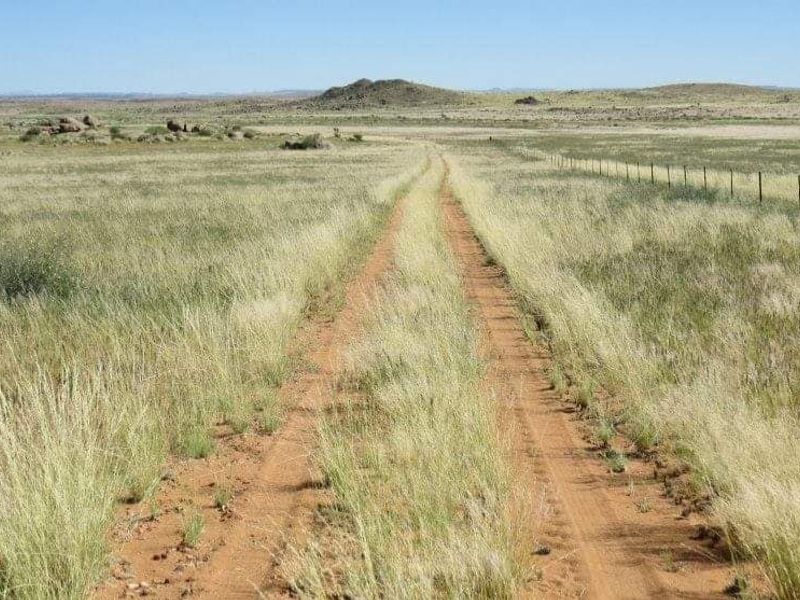 GAME FARM FOR SALE IN NOORDOEWER DISTRICT: - Photo 6