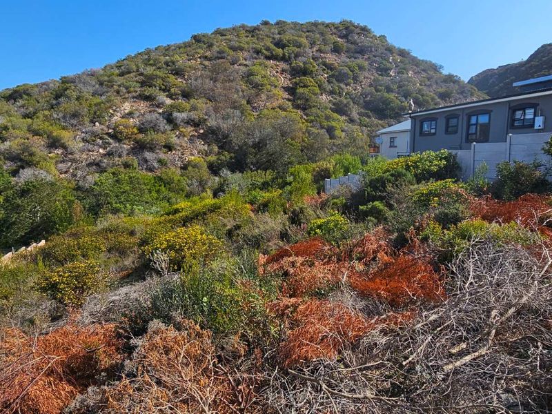 Duet Opportunity Vacant plot for a steal! - Photo 4