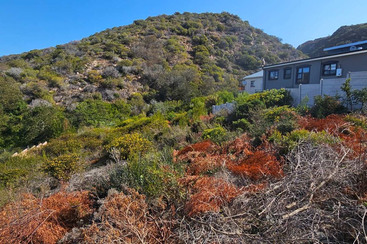 Duet Opportunity Vacant plot for a steal! - Photo 4