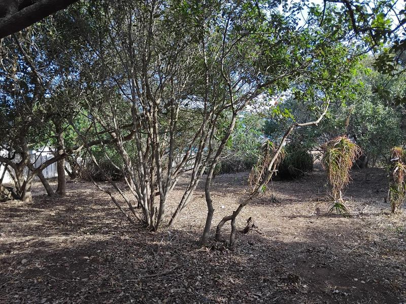 1088m2 Vacant Stand in Bergsig, Groot Brak Rivier. - Photo 4