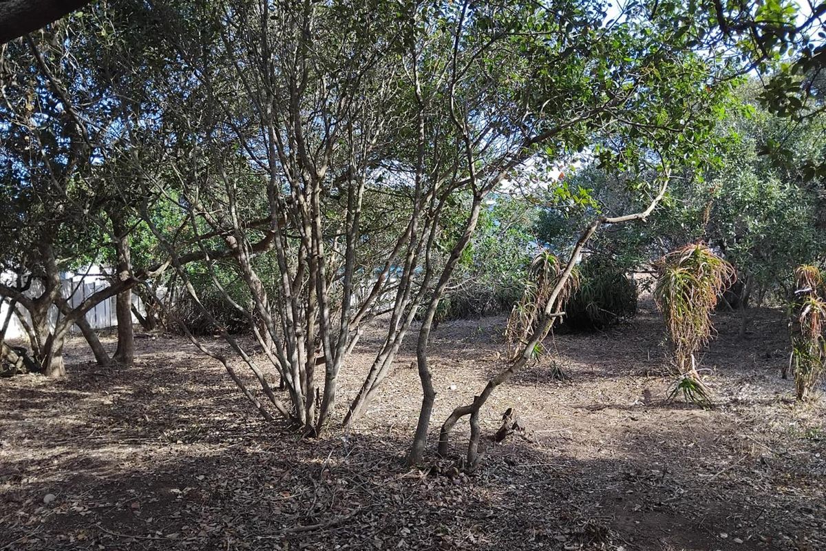 1088m2 Vacant Stand in Bergsig, Groot Brak Rivier. - Photo 4