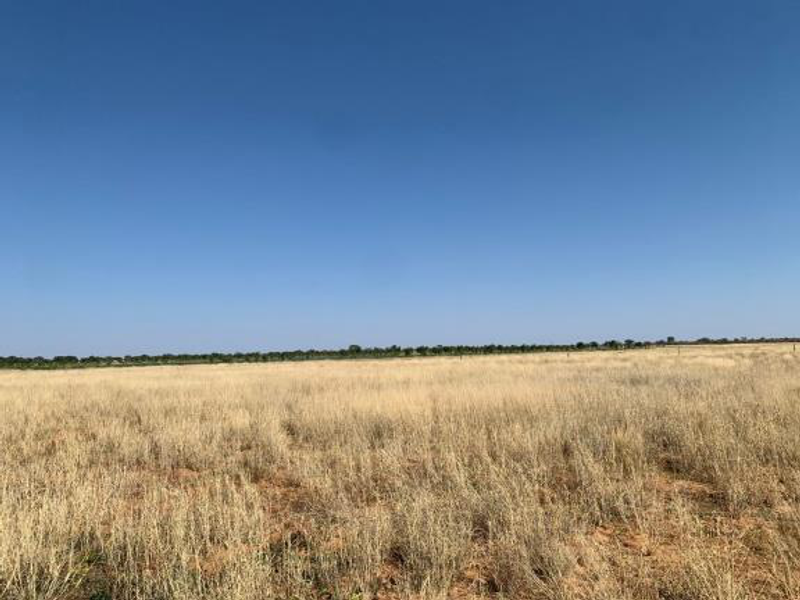 CATTLE FARM FOR SALE IN OTJOZONDJUPA REGION - Photo 6