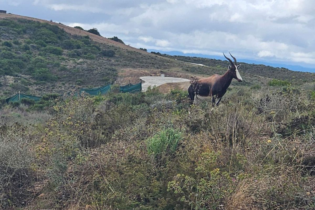 Discover your dream home at Outeniquasbosch Wildlife Village - Photo 3