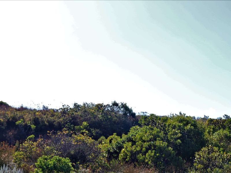 Spacious and Serene: Dana Bay's Premier Stand for Sale - Photo 3