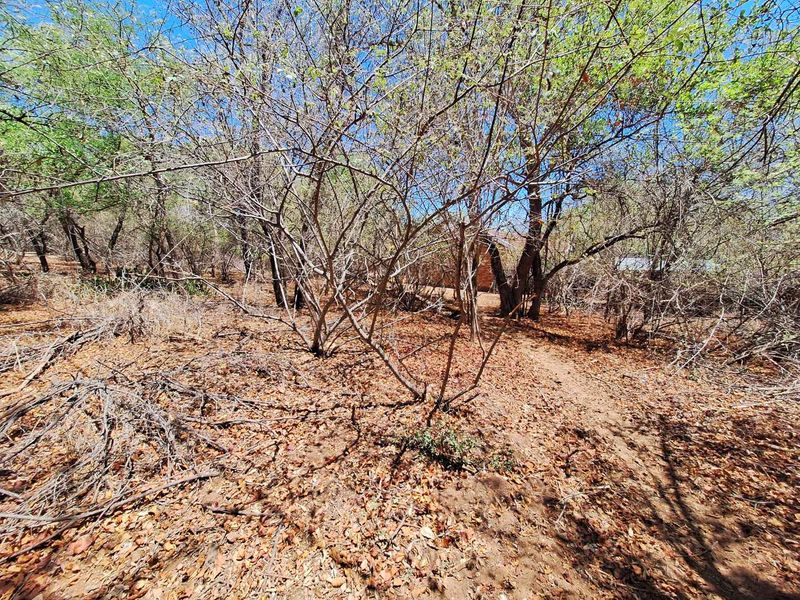 Stand In Quite Area - Photo 4