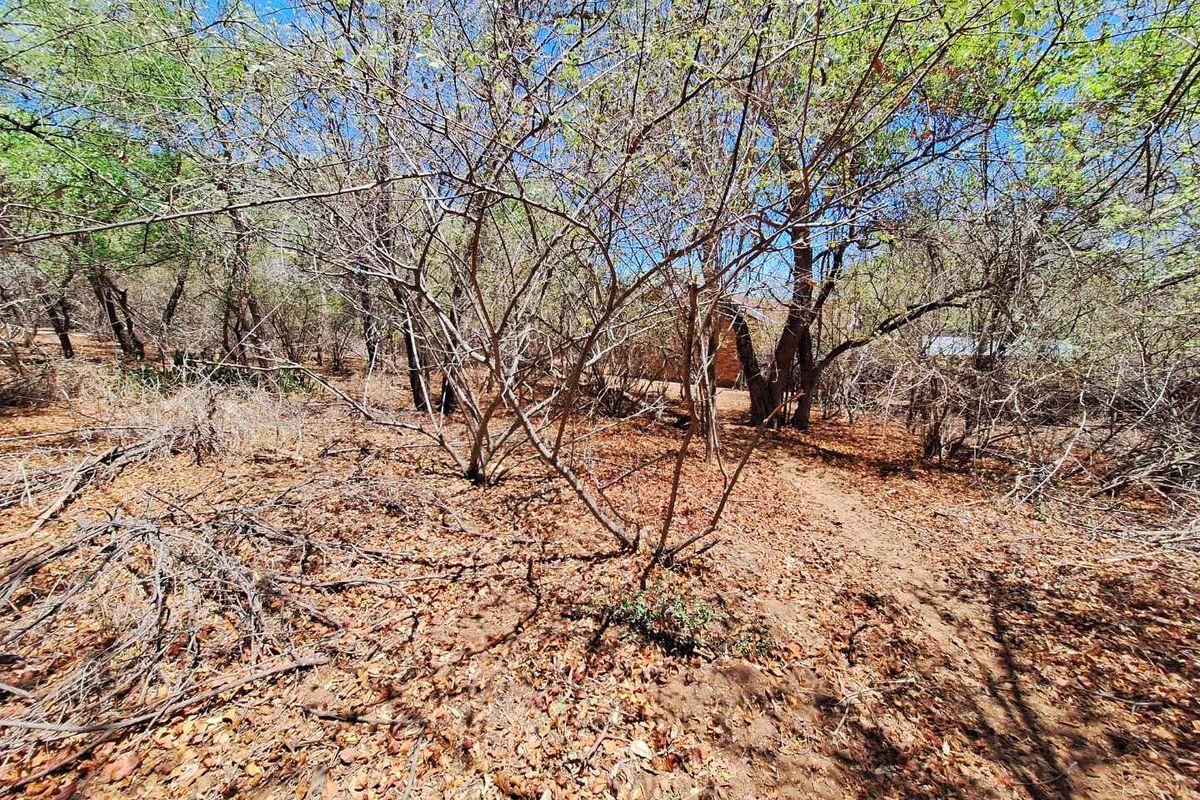 A view of a vacant residential plot featuring natural vegetation and mature trees.
