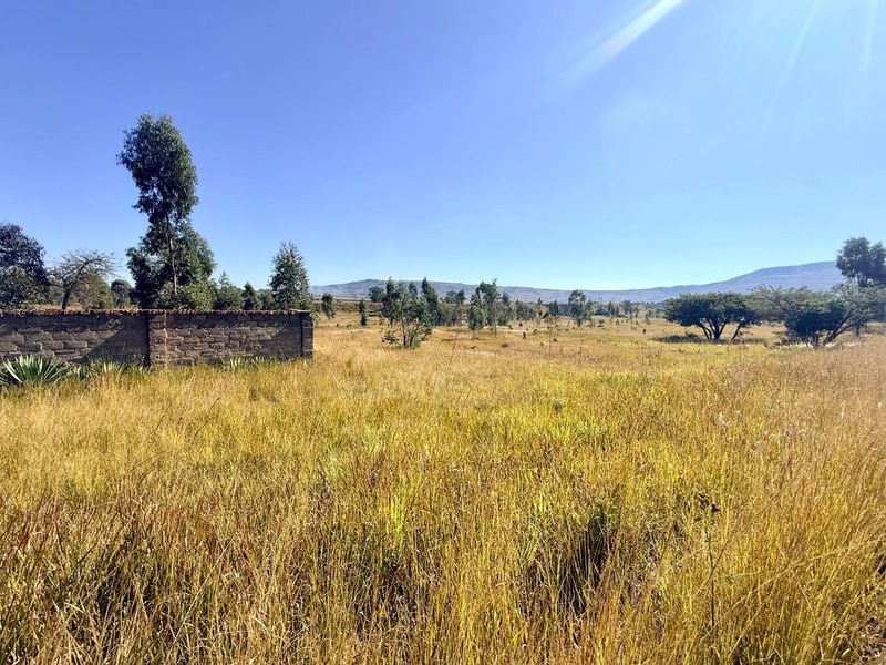 Commercial Property for sale 5 kilometers from Vryheid - Photo 3