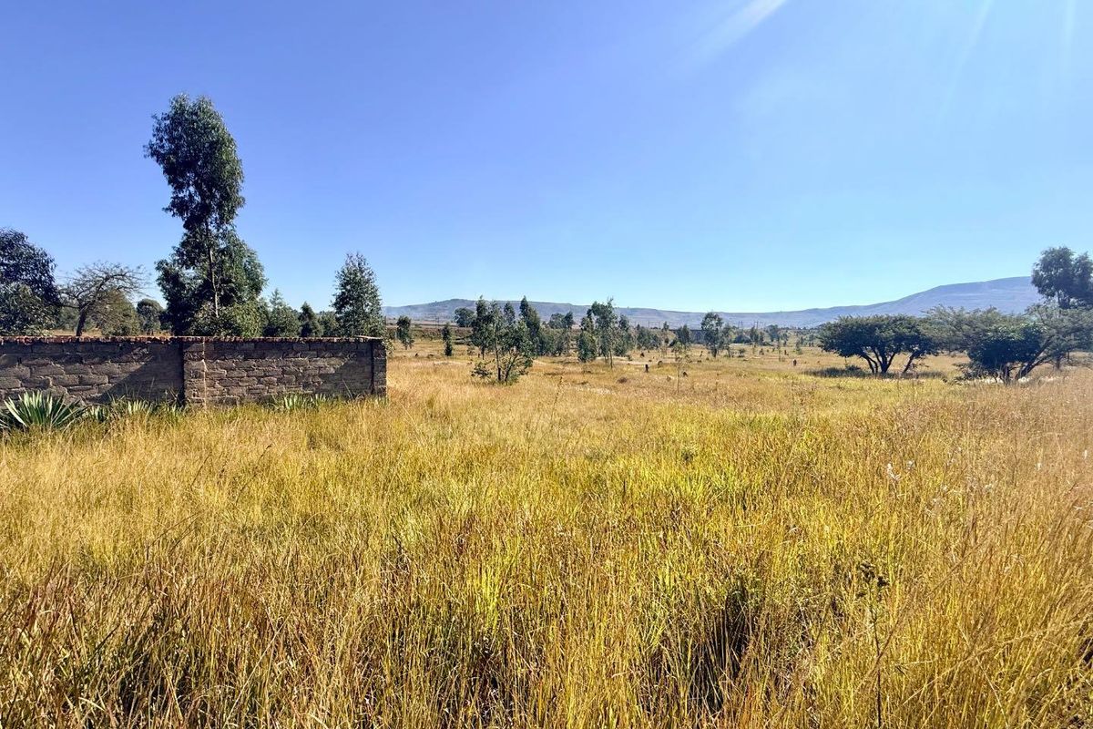 Commercial Property for sale 5 kilometers from Vryheid - Photo 3