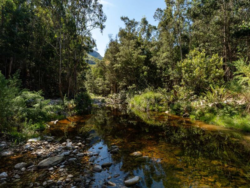 Escape to Nature: Your Private Retreat with Mountain Views, River & Dam - Photo 5