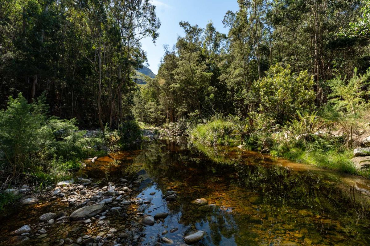 Escape to Nature: Your Private Retreat with Mountain Views, River & Dam - Photo 5