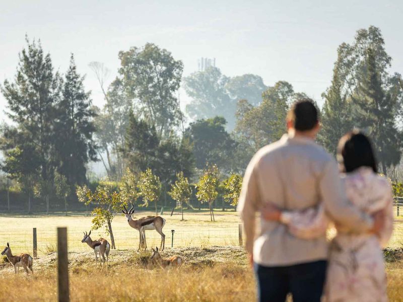 A scenic view of the vacant residential land featuring natural landscape and wildlife.