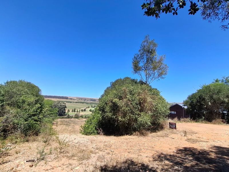 Serene Cul-de-Sac Living in Heidelberg Awaits! - Photo 5