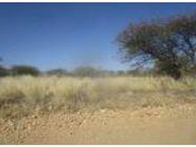 A view of the vacant residential land featuring natural vegetation and a dirt road frontage.