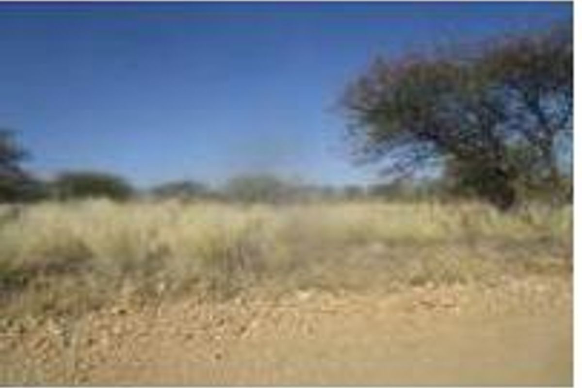 A view of the vacant residential land featuring natural vegetation and a dirt road frontage.