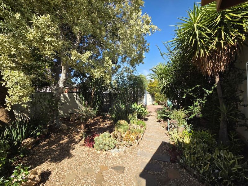 A well-established garden featuring a stone pathway, mature trees, and landscaped beds with a variety of succulents and shrubs.
