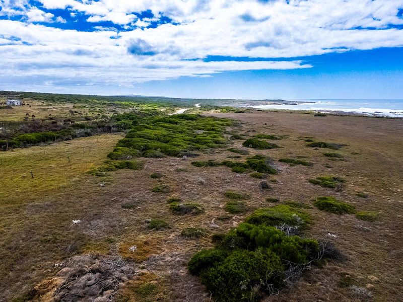 Seafront Farm for Sale in Gouritsmond – A Rare Coastal Gem! - Photo 8