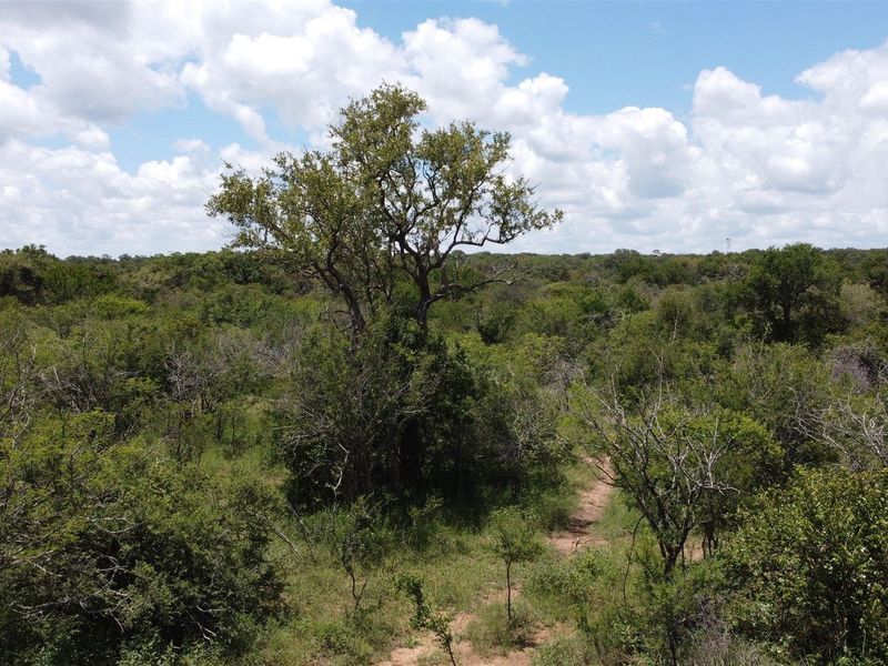 Vacant Land in MODITLO NATURE RESERVE - Photo 9