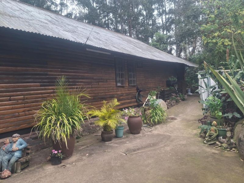 Rear view of a timber log cottage featuring corrugated metal roofing and a concrete pathway surrounded by established garden greenery.