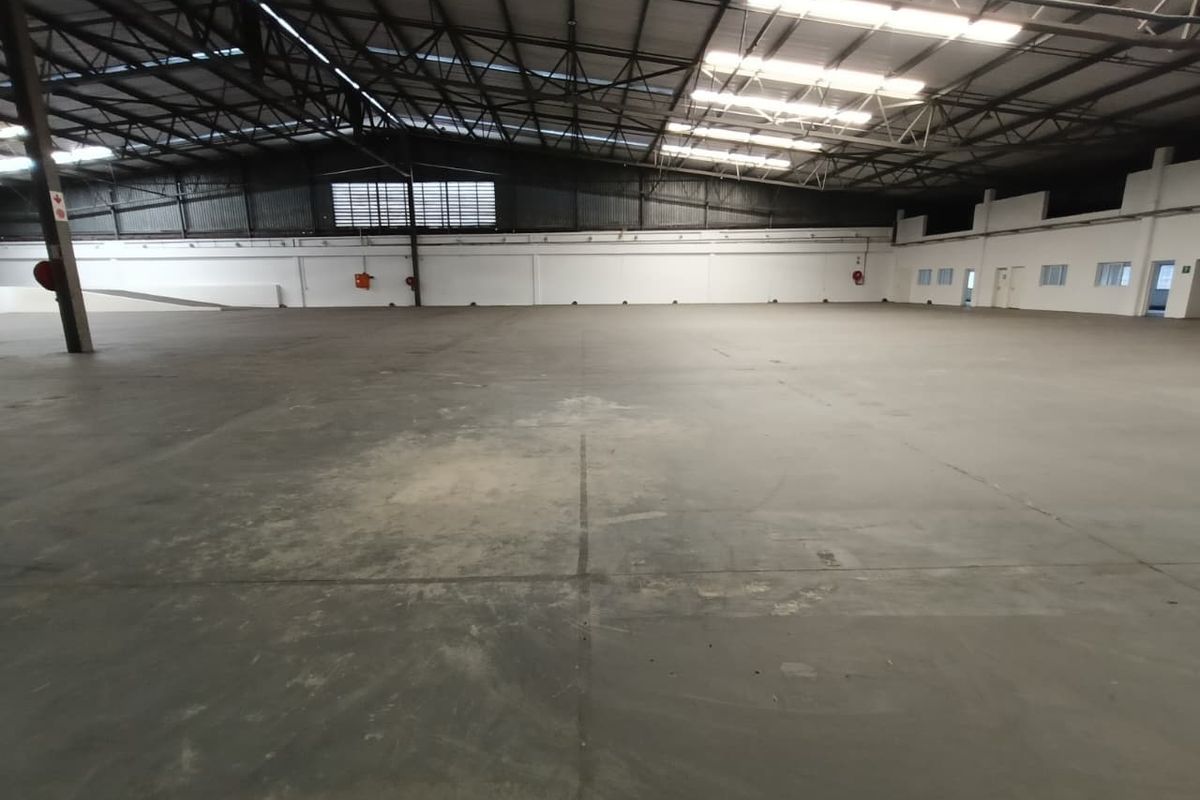 2875m2 - Warehouse, Yard 744m2 - Photo 4
