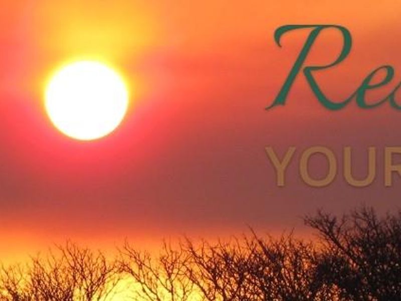 Stand for Sale in Ditholo Game Estate - Photo 2