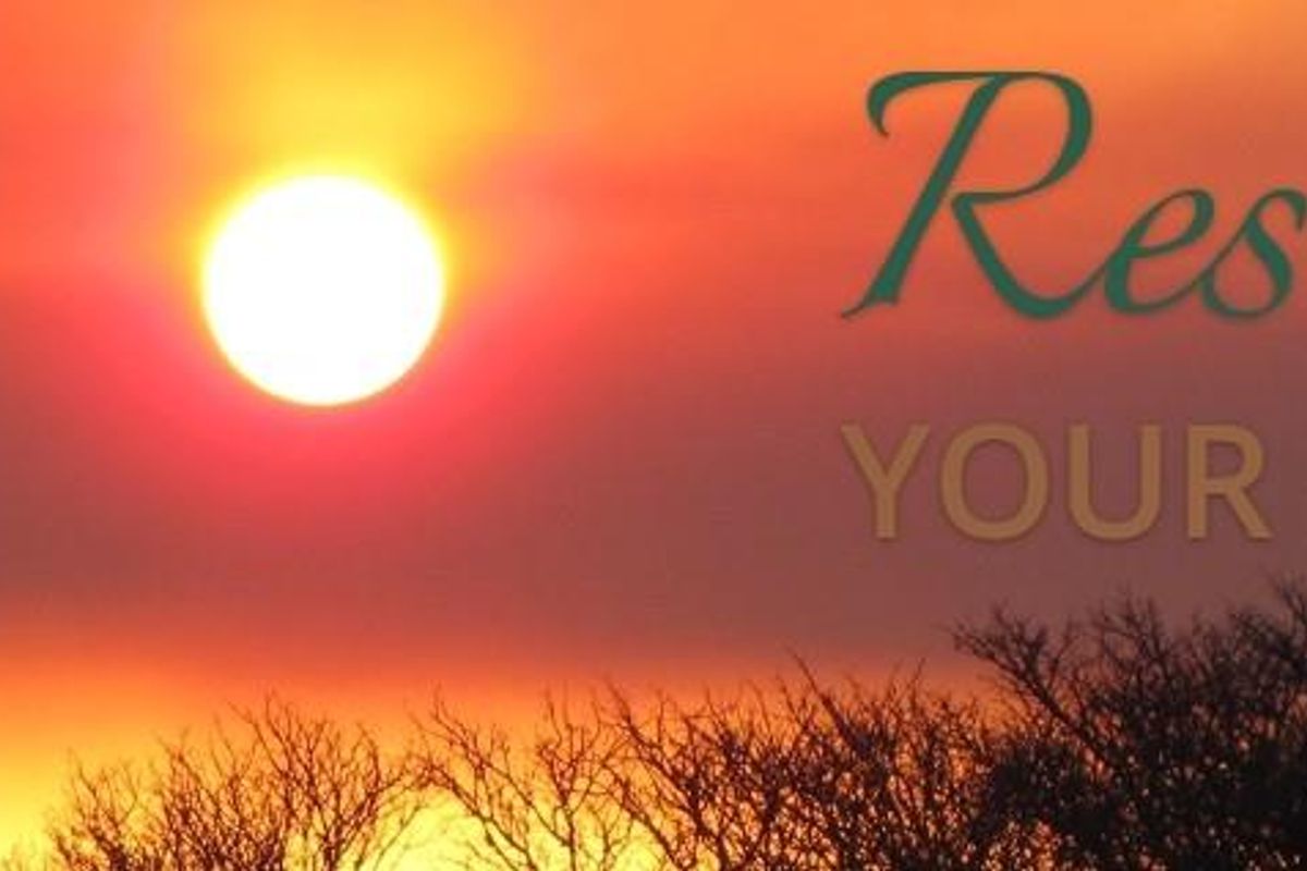 Stand for Sale in Ditholo Game Estate - Photo 2