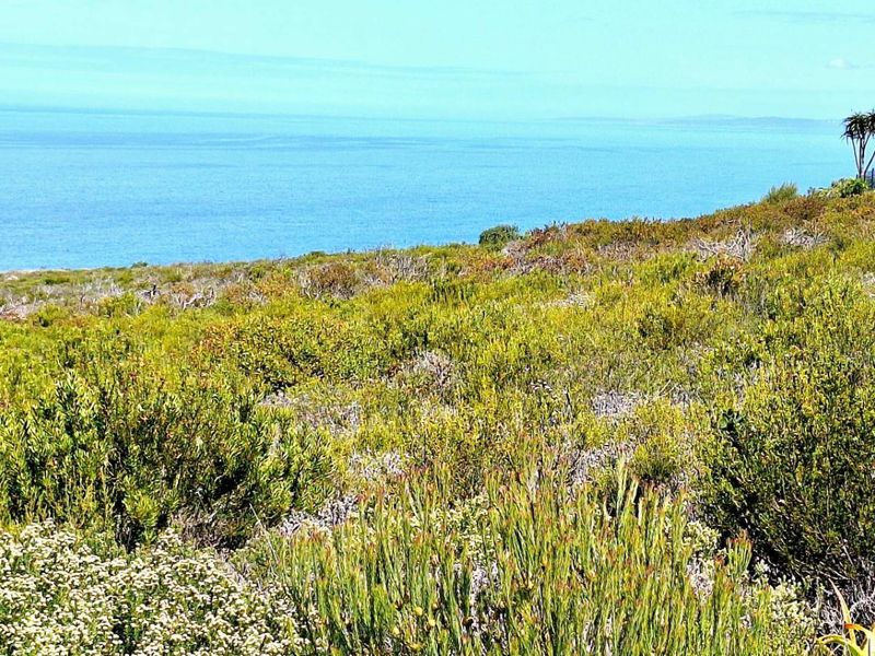 980m2 Vacant Land in Village on Sea with Stunning Ocean Views - Photo 5