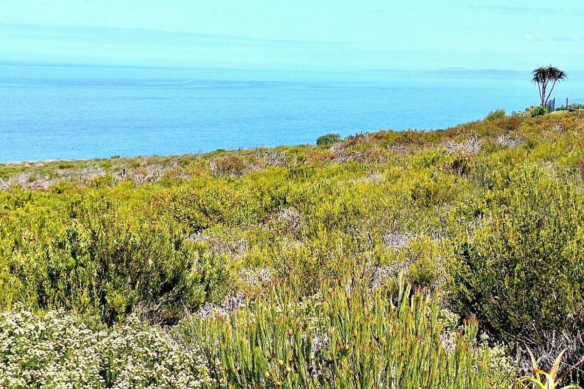 980m2 Vacant Land in Village on Sea with Stunning Ocean Views - Photo 5