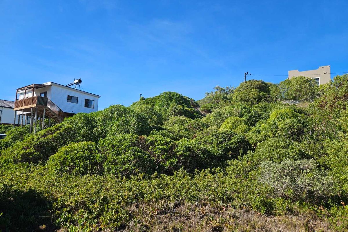 A view of a sloped residential plot featuring dense natural vegetation and surrounding hillside properties.