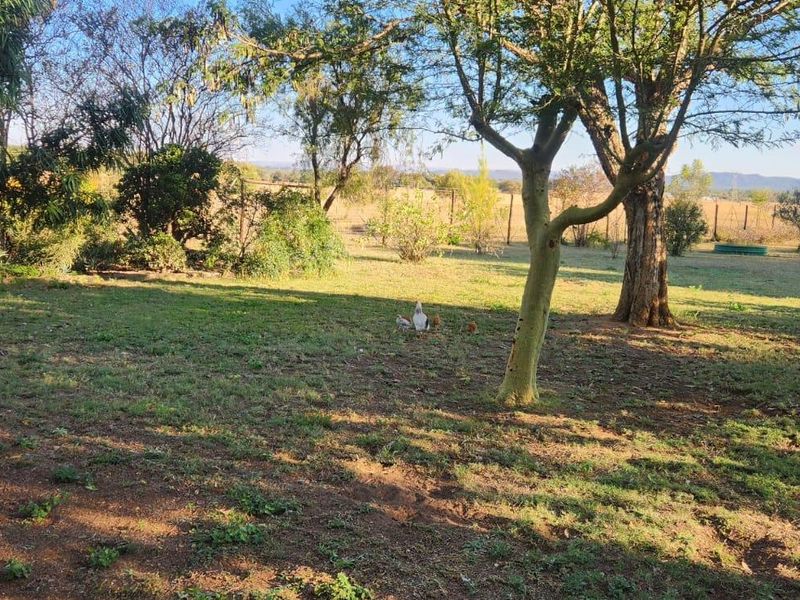 9.5 Hectares Farm for Sale - Do not miss this amazing opportunity it will not be around for long. - Photo 5