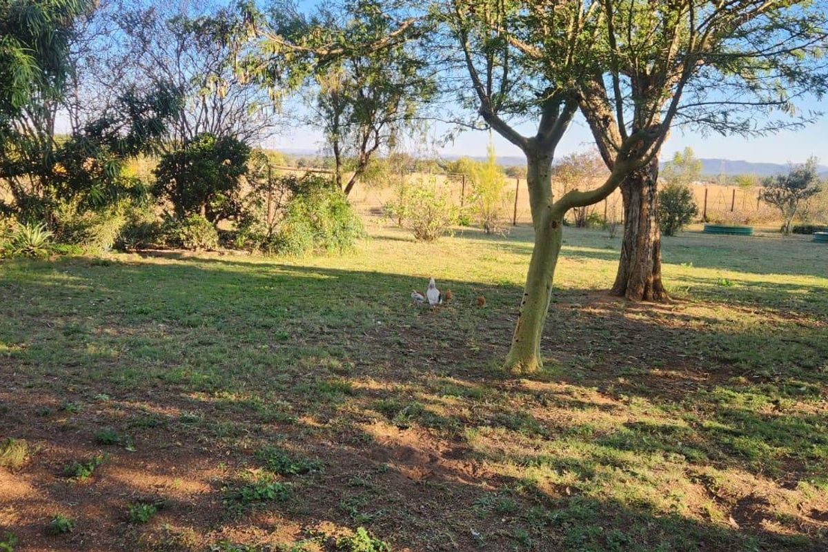 9.5 Hectares Farm for Sale - Do not miss this amazing opportunity it will not be around for long. - Photo 5