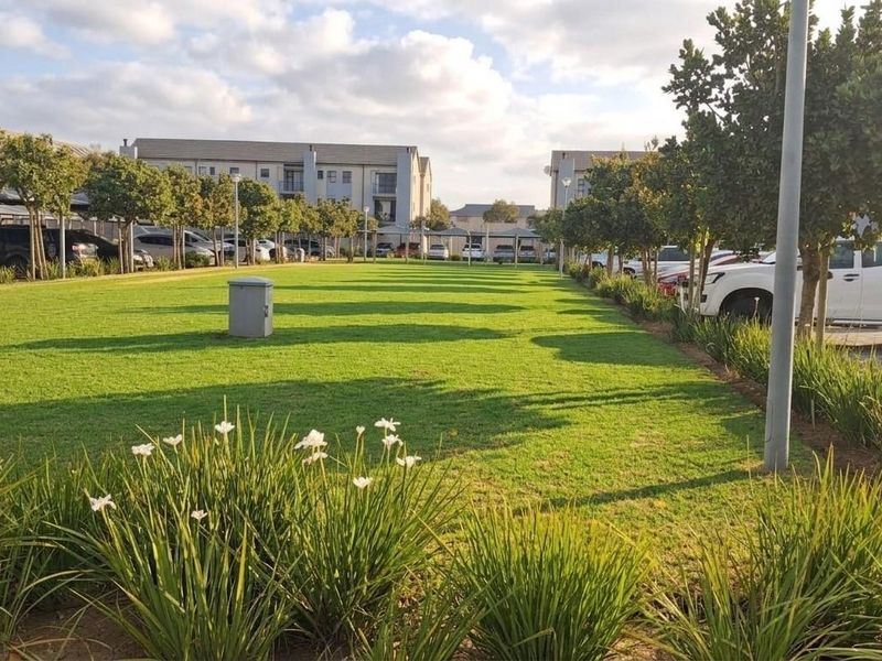 A well-maintained communal garden area featuring a large manicured lawn, mature trees, and adjacent paved parking facilities within the apartment complex.
