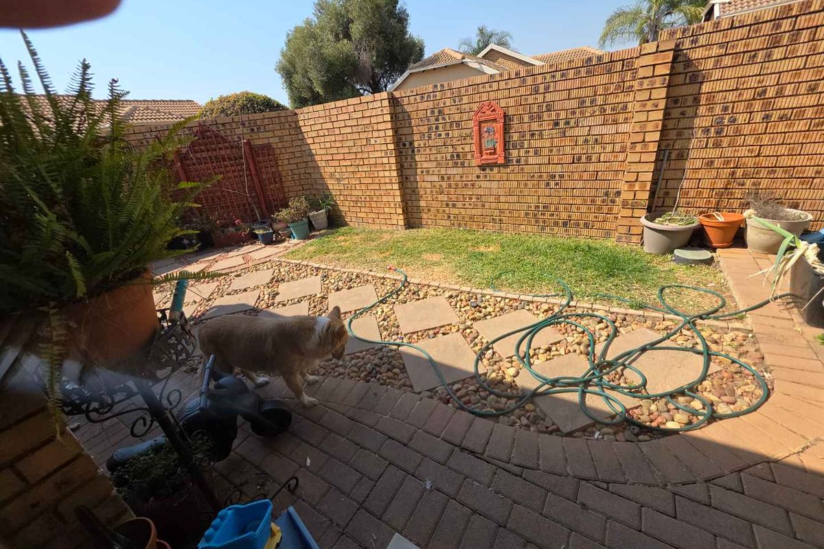 A private rear courtyard featuring a brick boundary wall, paved patio area, and a small garden section with stepping stones.