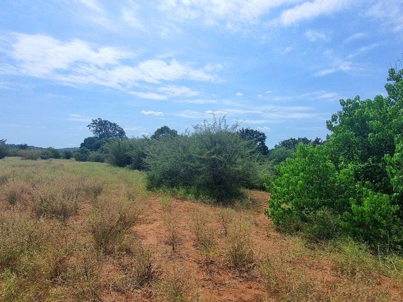 Vacant Stand in Elephant Rock Eco Estate - Photo 6