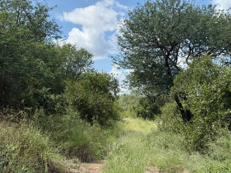 Prime Development opportunity between Hoedspruit and Phalaborwa - Photo 5